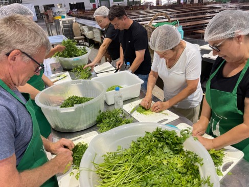  Desde o começo da tarde de ontem, voluntários se dedicam ao preparo de temperos para o pastel do Bastião e galinhada (Foto: Júnior Posselt/Folha do Mate)