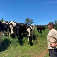 Aloisio Finkler, de S&atilde;o Miguel-Vila Santa Em&iacute;lia: &ldquo;Vejo o setor leiteiro em crise.&rdquo; (Foto: D&eacute;bora Kist/Folha do Mate)