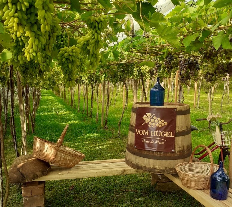 Espaço foi preparado para receber o público com paisagismo e ornamentação especial (Foto: Aturrchim/Divulgação) Espaço foi preparado para receber o público com paisagismo e ornamentação especial (Foto: Aturrchim/Divulgação)