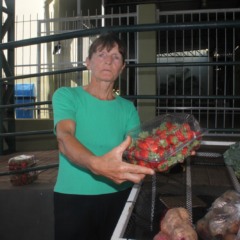 Leni Ribeiro espera que o vale traga mais movimento &agrave; Feira de Agricultura Familiar