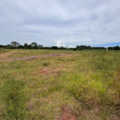 O investimento ser&aacute; destinado ao loteamento da Vila Est&acirc;ncia Nova, onde futuramente ser&atilde;o constru&iacute;das 72 unidades habitacionais do programa A Casa &Eacute; Sua &ndash; Calamidade (Foto: J&uacute;nior Posselt)