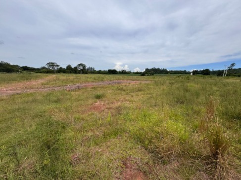 O investimento será destinado ao loteamento da Vila Estância Nova, onde futuramente serão construídas 72 unidades habitacionais do programa A Casa É Sua – Calamidade (Foto: Júnior Posselt)